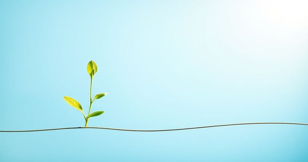 Bütünsel Sağlık: Bedensel ve Ruhsal Dengenin Anahtarı